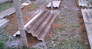 Jaké jsou způsoby, jak chránit hrozny na zimu?